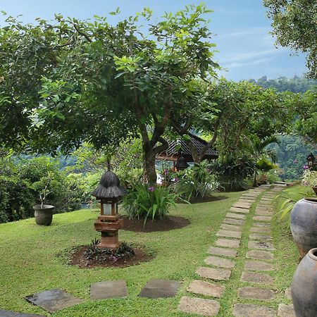 Villa Patria Lovina  Bagian luar foto