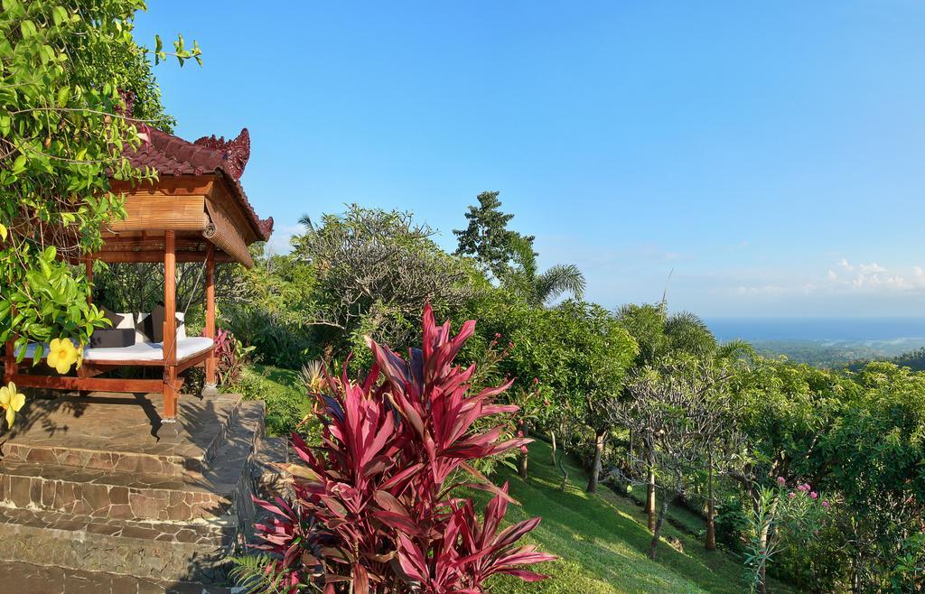 Villa Patria Lovina  Bagian luar foto