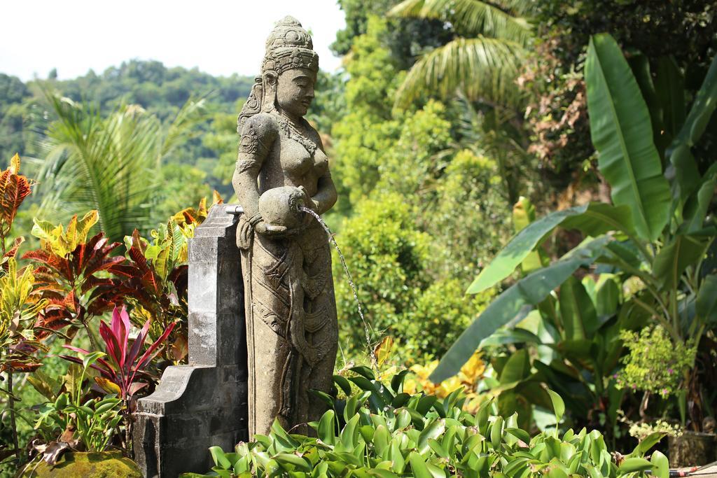Villa Patria Lovina  Ruang foto
